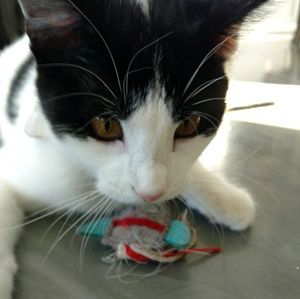 Meet your Posher, Lily